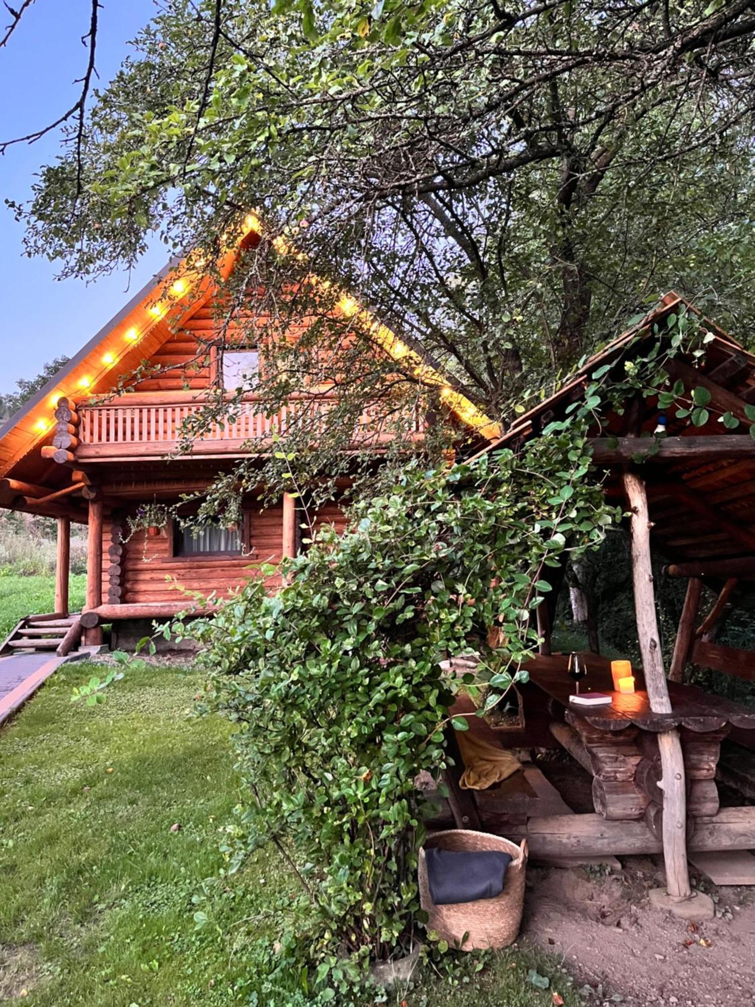 Тихий Куточок Vila Izki Exterior foto
