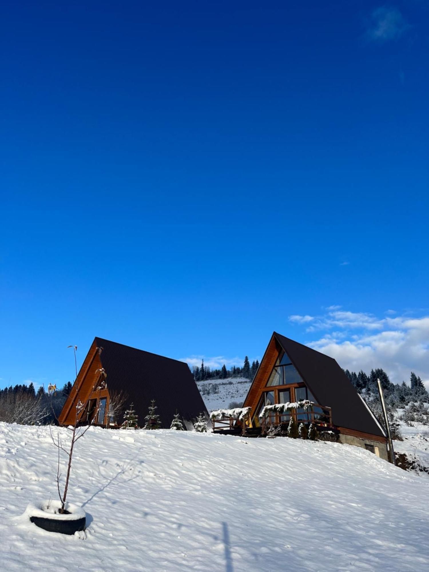 Тихий Куточок Vila Izki Exterior foto